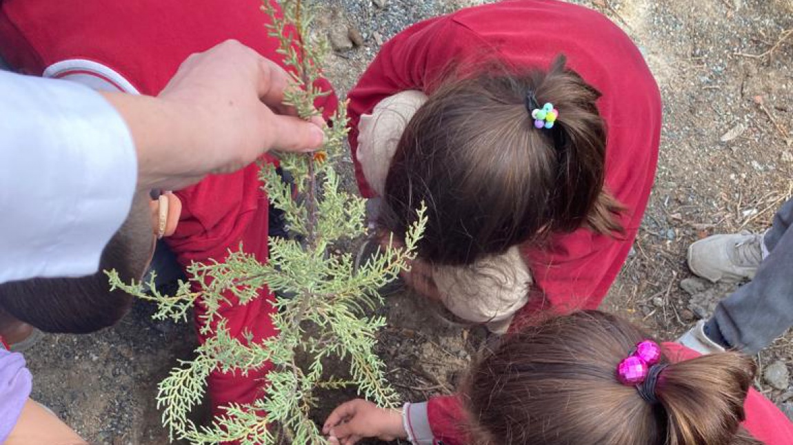 Okul Bahçesi Düzenleme ve Ağaçlandırma Faaliyetleri